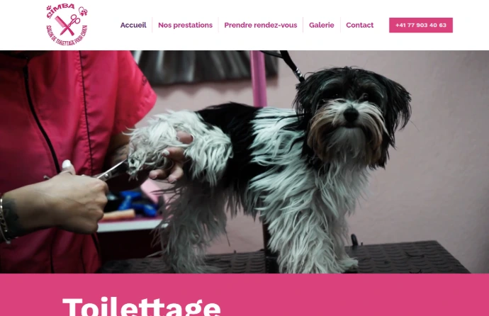 Site web PME réalisé par notre agence digitale en Suisse